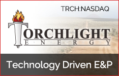 torchlight energy jobs
