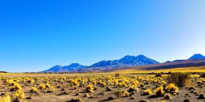 Copper Discoveries Are Getting Scarce: One Explorer Is Drilling to Change That