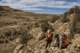 Colorado Uranium Project Revived as Exploration Push Shifts to Historic Discovery