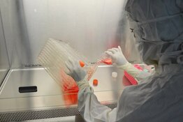 California Biotech Co. Discovers VOXZOGO Breakthrough, Reports Strong Q1 