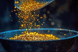 This Co. Just Found New Resources, Partner: What Do Analysts Think?
