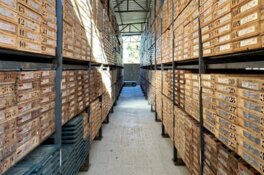 Lithium Supply Shock: Export Ban From Key Producer Tightens Global Market