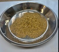 Gold Miner Resumes High-Grade Placer Production in British Columbia