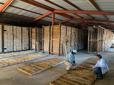 Jr. Miner Maintains Earnings Momentum in Q3/25