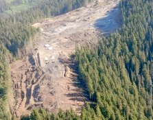 Co. Withdraws Appeal Involving Gold Developer's Major BC Project