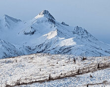 Explorer Targets Major Silver Gains in Alaska