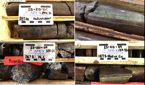 Explorer Discovers New Extensive Copper-Gold System at Bertha Target in BC
