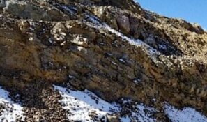 Hidden Intrusion Identified Beneath Nevada Gold Project as Survey Reveals New Structural Target