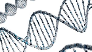 New Drug for Duchenne Muscular Dystrophy Nears Potential Approval