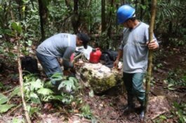 High-Grade Gold Zone Extends Again as New Drill Results Hit 7m of 5.1 g/t