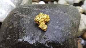 Find Out How This Gold Explorer Fared on its Annual Report Card
