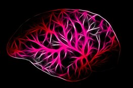 Biotech Company Accelerates AI Detection Breakthrough Globally