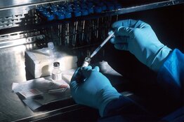 Biopharma Receives PDUFA Date for Lead Program